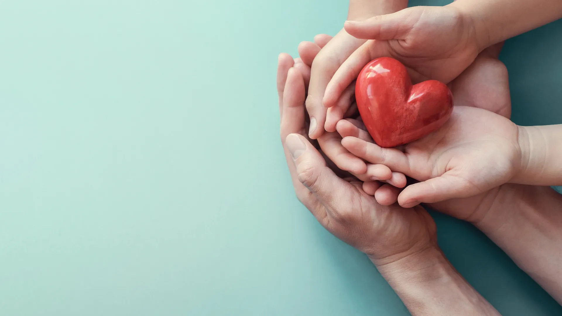 Hands holding a heart